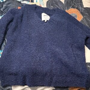 Aerie Navy V-Neck Sweater